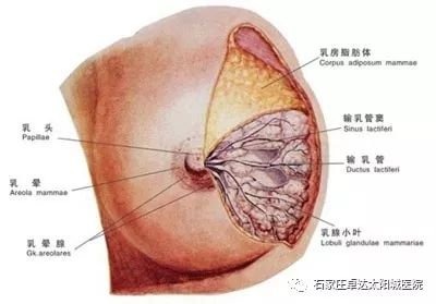 案例图片