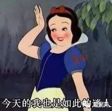 案例图片