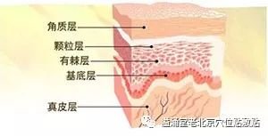 案例图片