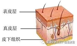 案例图片