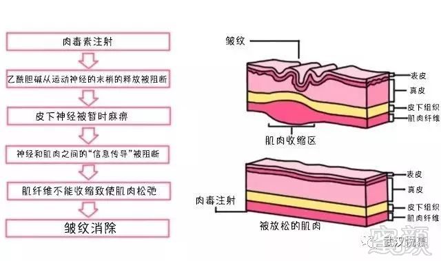 案例图片