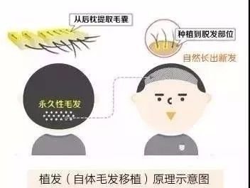 https://img.miyanlife.com/mnt/timg/171028/111550M11-2.jpg