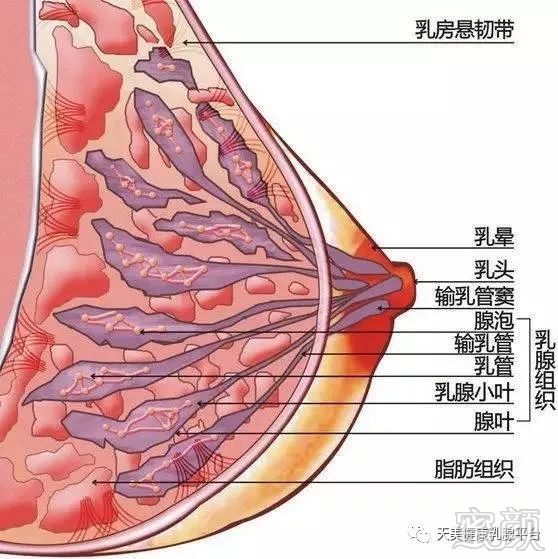 案例图片