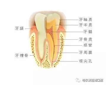 案例图片