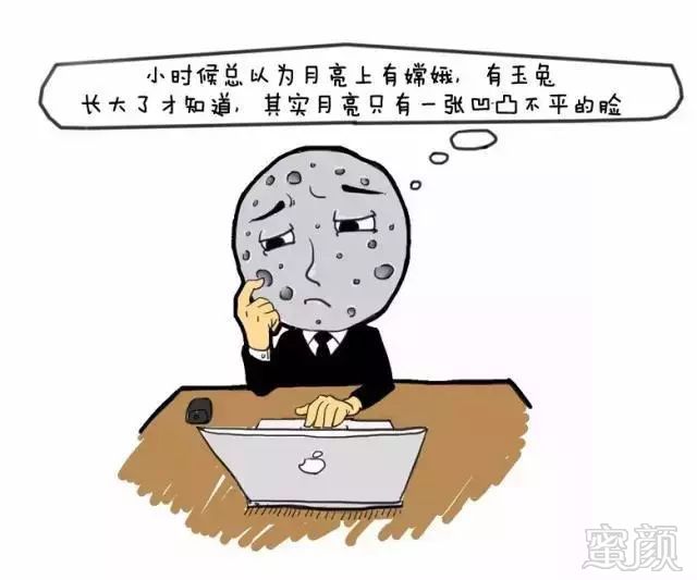 案例图片