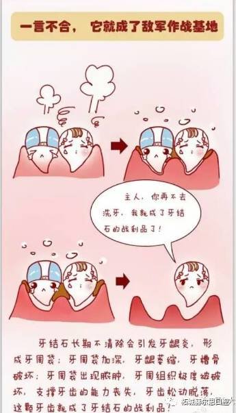 案例图片