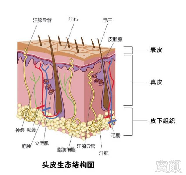 https://img.miyanlife.com/mnt/timg/171031/132P2D28-9.jpg