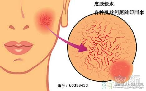 案例图片