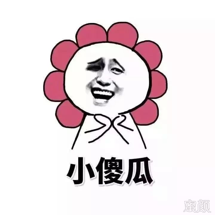 案例图片