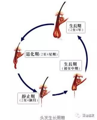 https://img.miyanlife.com/mnt/timg/171102/12331M018-3.jpg