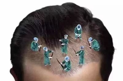https://img.miyanlife.com/mnt/timg/171103/13050A325-1.jpg