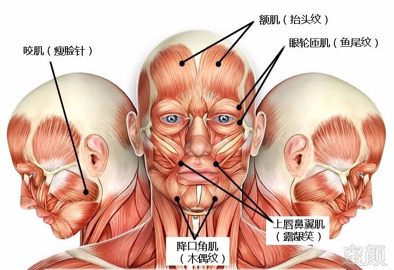 案例图片