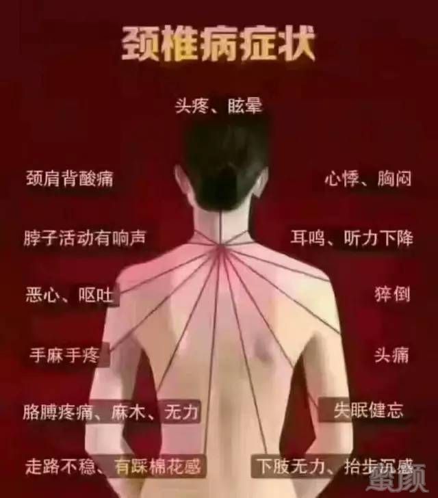 案例图片