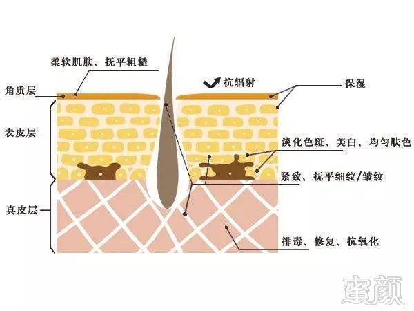 https://img.miyanlife.com/mnt/timg/171104/1051445319-9.jpg