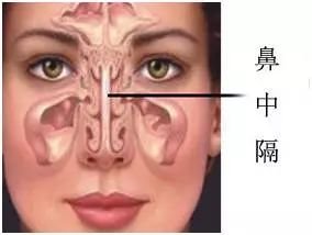 https://img.miyanlife.com/mnt/timg/171105/14141611R-5.jpg