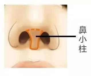 https://img.miyanlife.com/mnt/timg/171105/14141M350-7.jpg