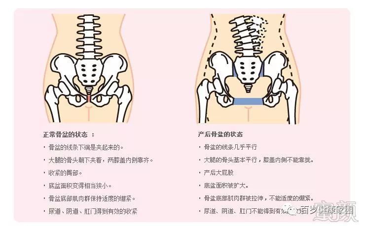 案例图片