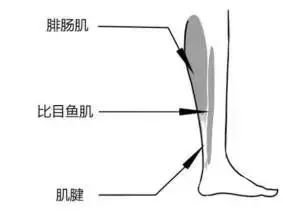 案例图片