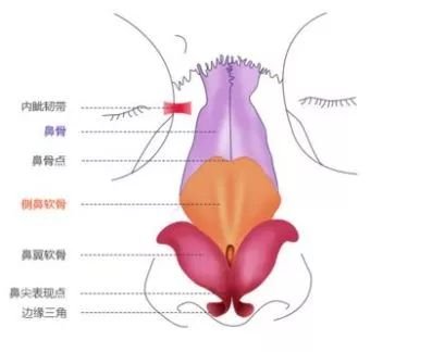 案例图片