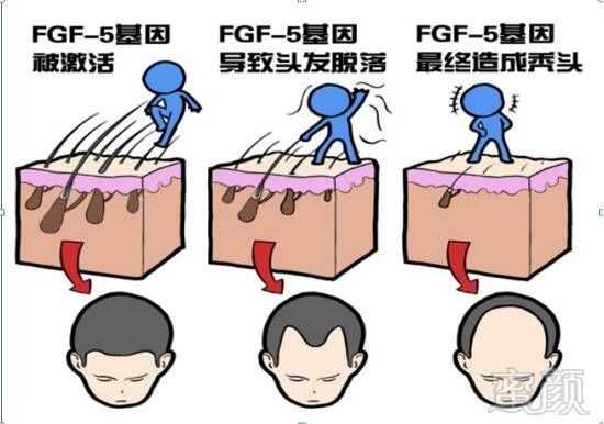 https://img.miyanlife.com/mnt/timg/171110/093Q63046-3.jpg
