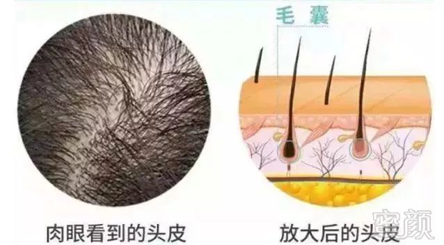https://img.miyanlife.com/mnt/timg/171110/09522a525-15.jpg