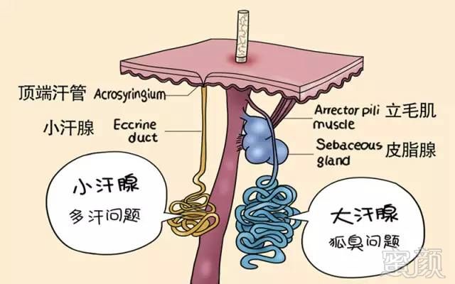 案例图片