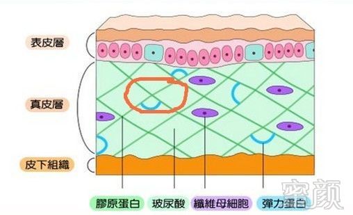 案例图片