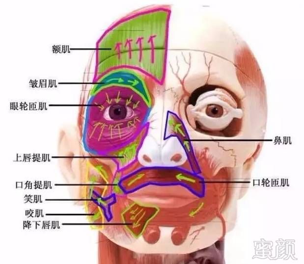 https://img.miyanlife.com/mnt/timg/171119/14194K425-1.jpg