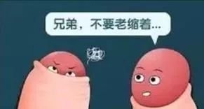 案例图片