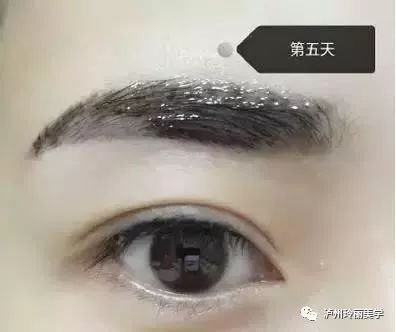 https://img.miyanlife.com/mnt/timg/171121/133A91217-2.jpg