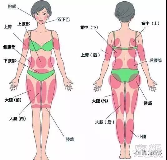 https://img.miyanlife.com/mnt/timg/171123/10050430D-5.jpg