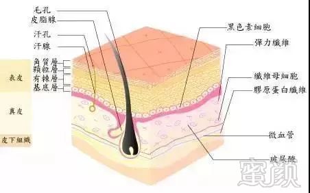 案例图片