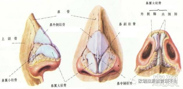 https://img.miyanlife.com/mnt/timg/171124/1050235636-2.jpg