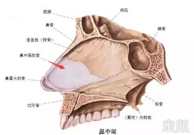 https://img.miyanlife.com/mnt/timg/171124/1259305349-4.jpg