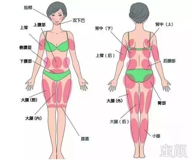 https://img.miyanlife.com/mnt/timg/171124/14454RO7-3.jpg