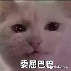 https://img.miyanlife.com/mnt/timg/171125/11230W228-0.jpg