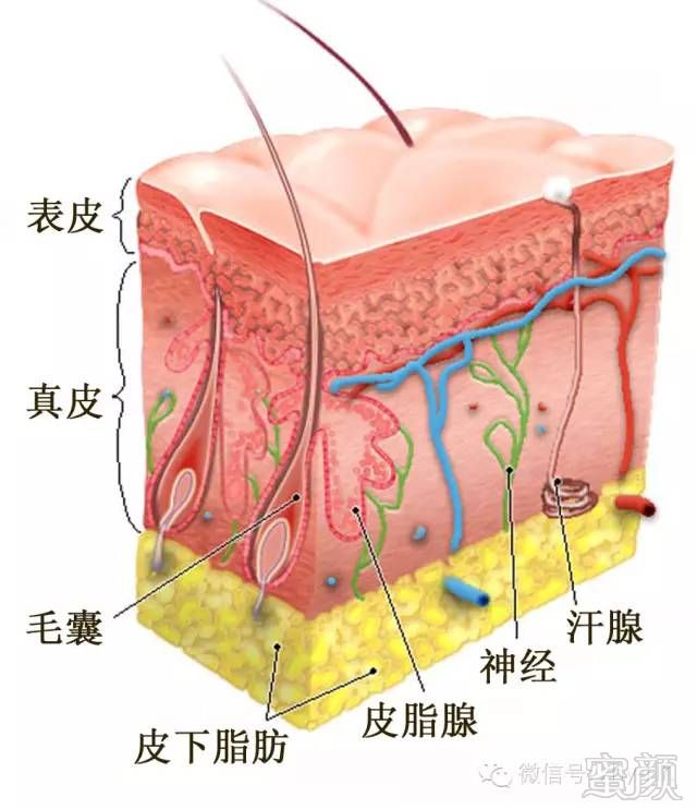 案例图片