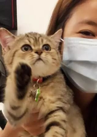 https://img.miyanlife.com/mnt/timg/171126/102GMI9-0.jpg