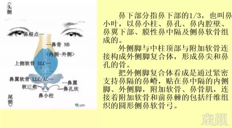 https://img.miyanlife.com/mnt/timg/171127/13015I427-3.jpg