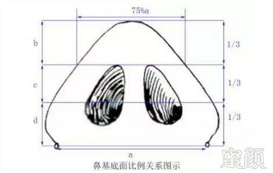 案例图片