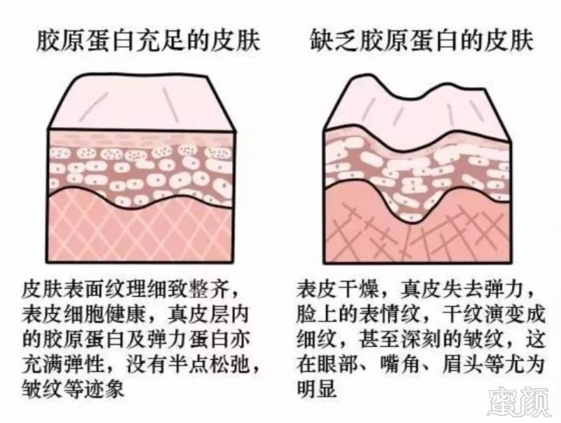 案例图片