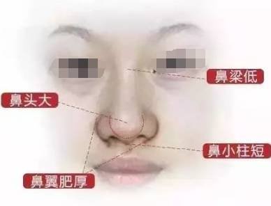 https://img.miyanlife.com/mnt/timg/171201/120205C59-1.jpg
