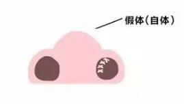 https://img.miyanlife.com/mnt/timg/171201/1300494641-11.jpg