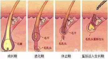 https://img.miyanlife.com/mnt/timg/171201/131Q53T5-3.jpg