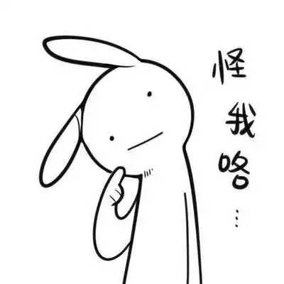 案例图片
