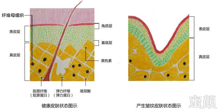 案例图片