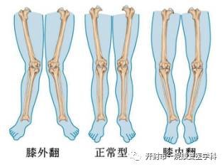 案例图片