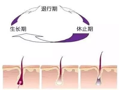 https://img.miyanlife.com/mnt/timg/171205/115320BQ-6.jpg