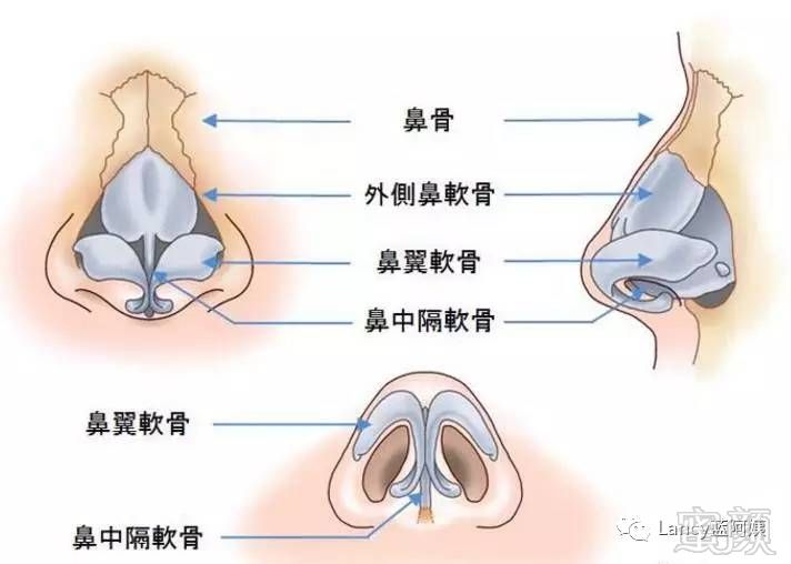 https://img.miyanlife.com/mnt/timg/171206/112K2I07-10.jpg