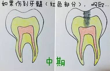 案例图片